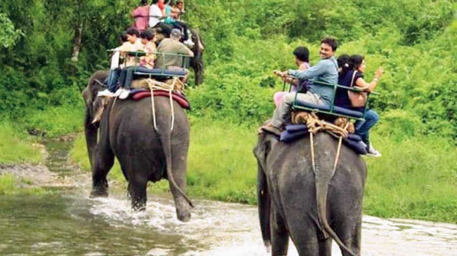 Day 06: Kaziranga - Guwahati (220 km / 4-5 hrs)